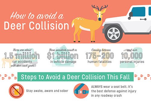 Preventing Deer Related Auto Accidents From Meemic